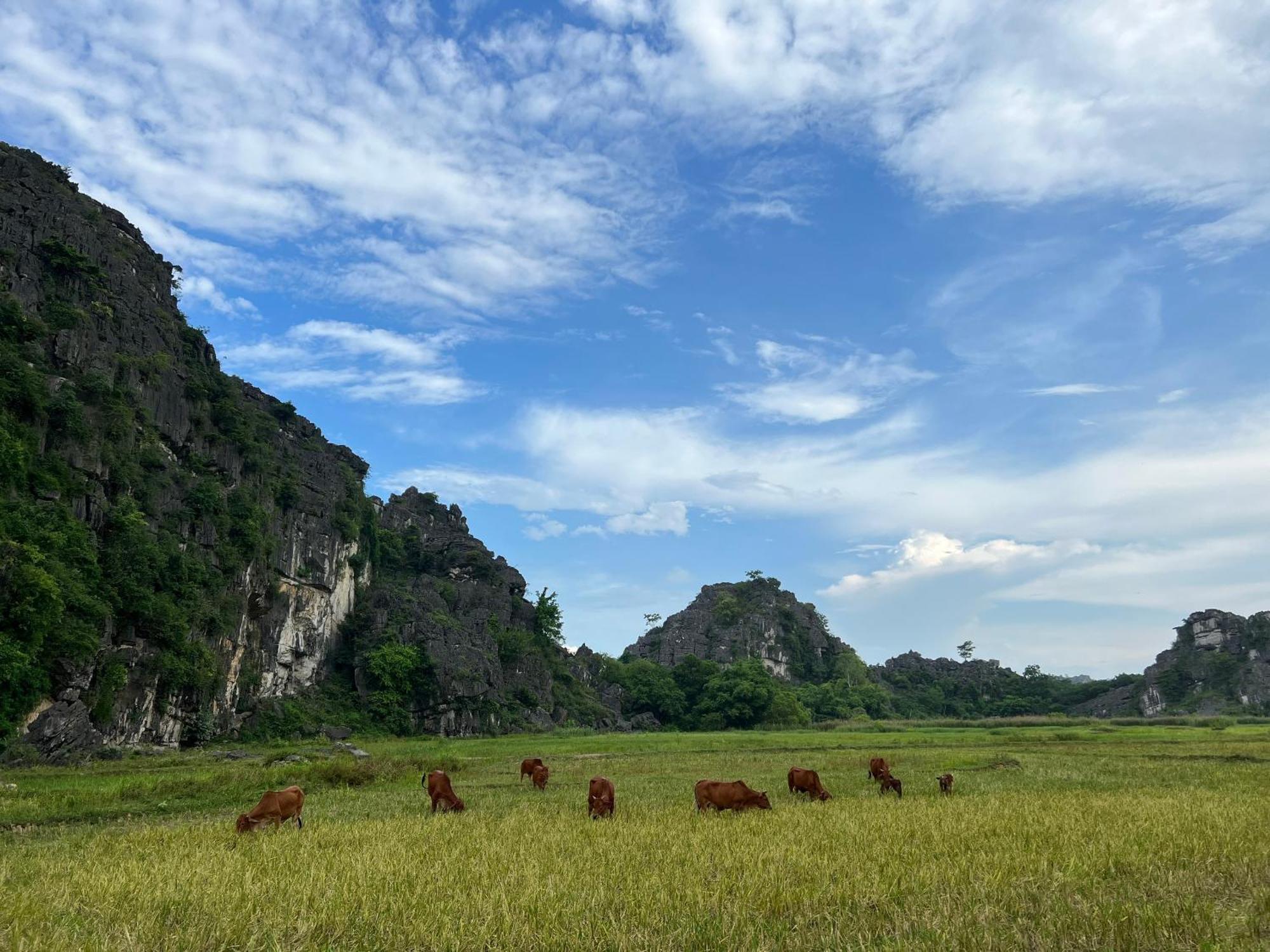 Ninh Binh Family Homestay Екстериор снимка