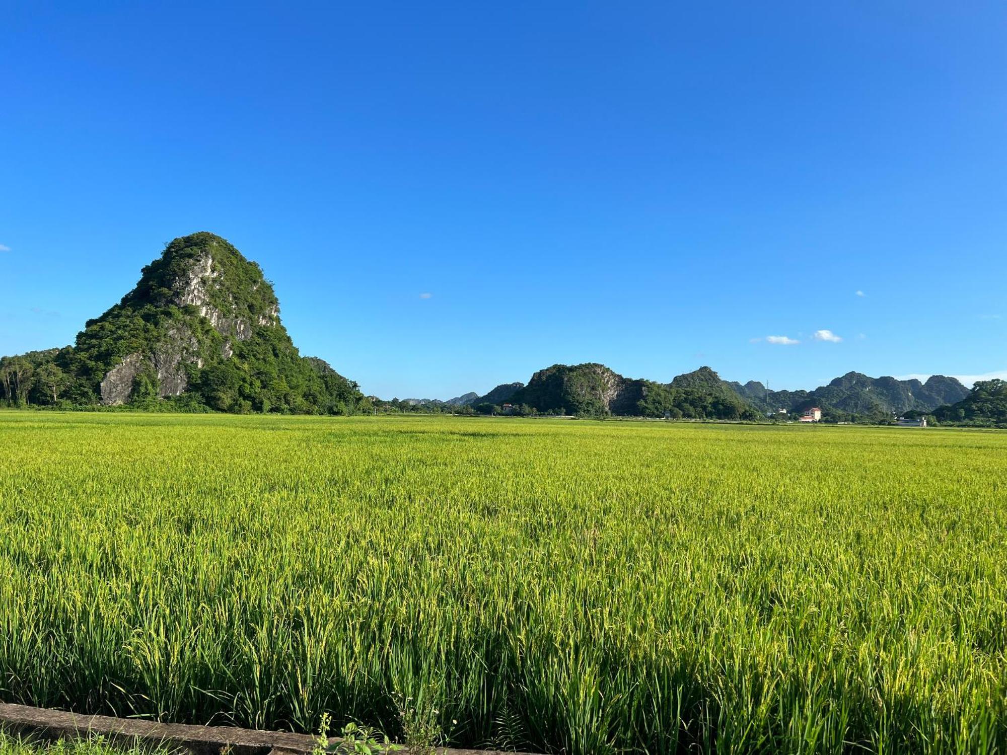 Ninh Binh Family Homestay Екстериор снимка