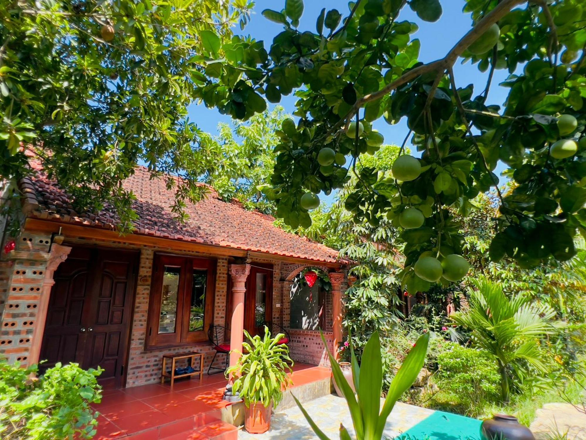 Ninh Binh Family Homestay Екстериор снимка